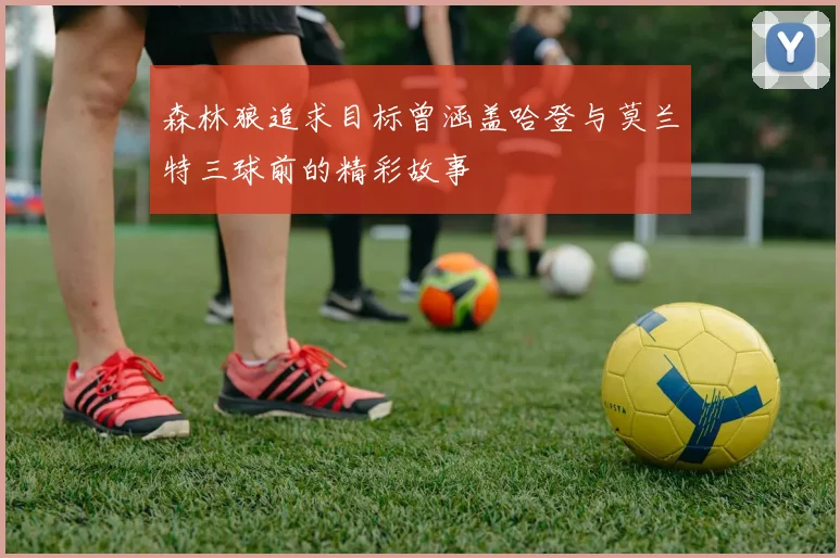 森林狼追求目标曾涵盖哈登与莫兰特三球前的精彩故事
