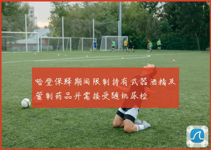 哈登保释期间限制持有武器酒精及管制药品并需接受随机尿检
