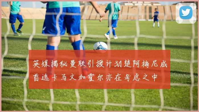 英媒揭秘曼联引援计划楚阿梅尼成首选卡马文加霍尔亦在考虑之中