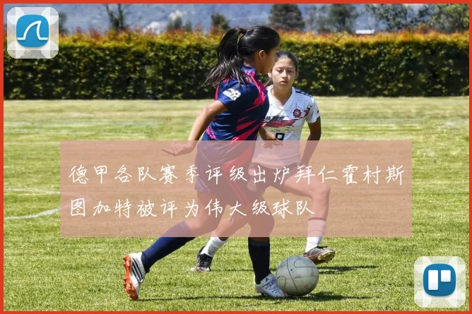 德甲各队赛季评级出炉拜仁霍村斯图加特被评为伟大级球队